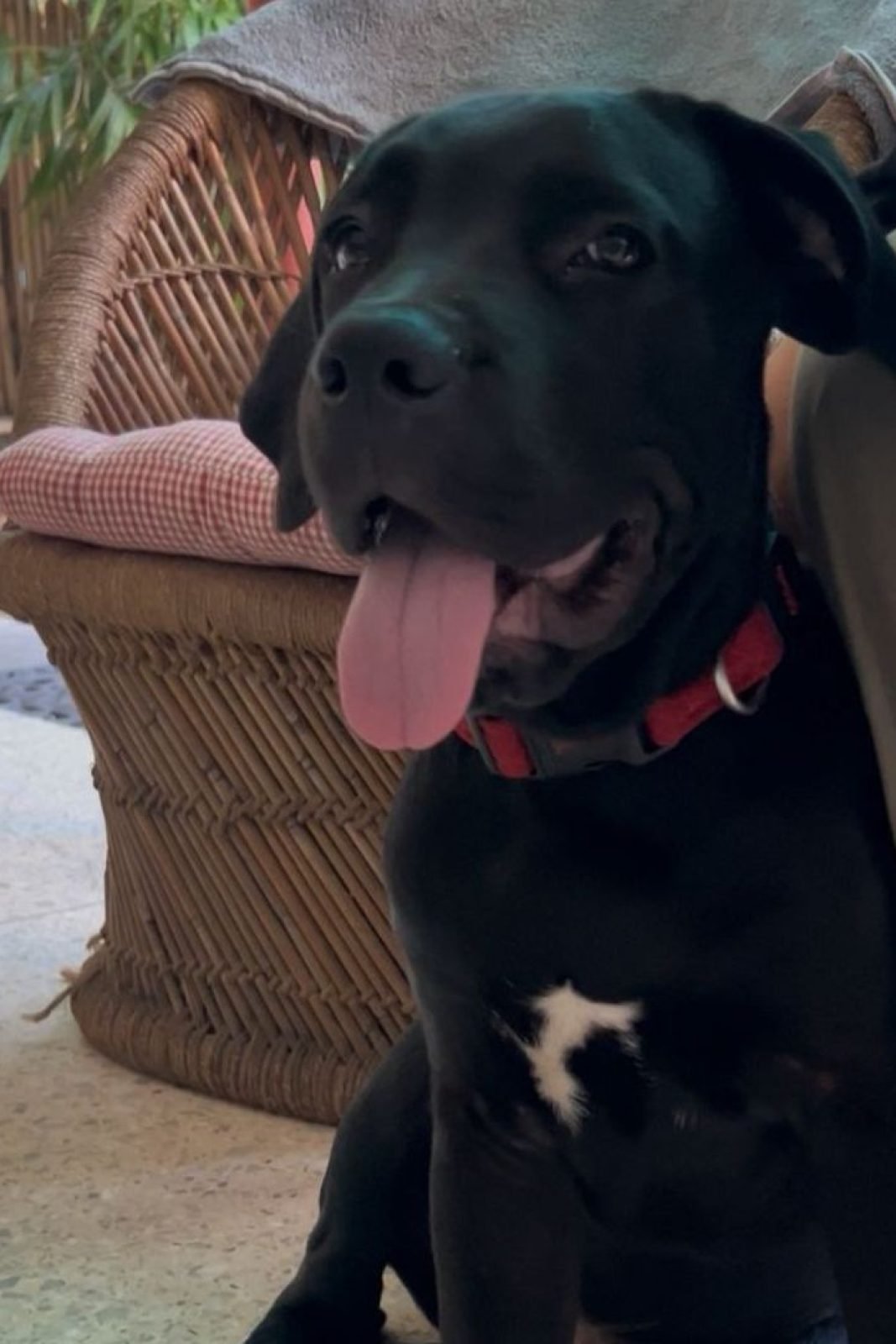 Untitled design (26)