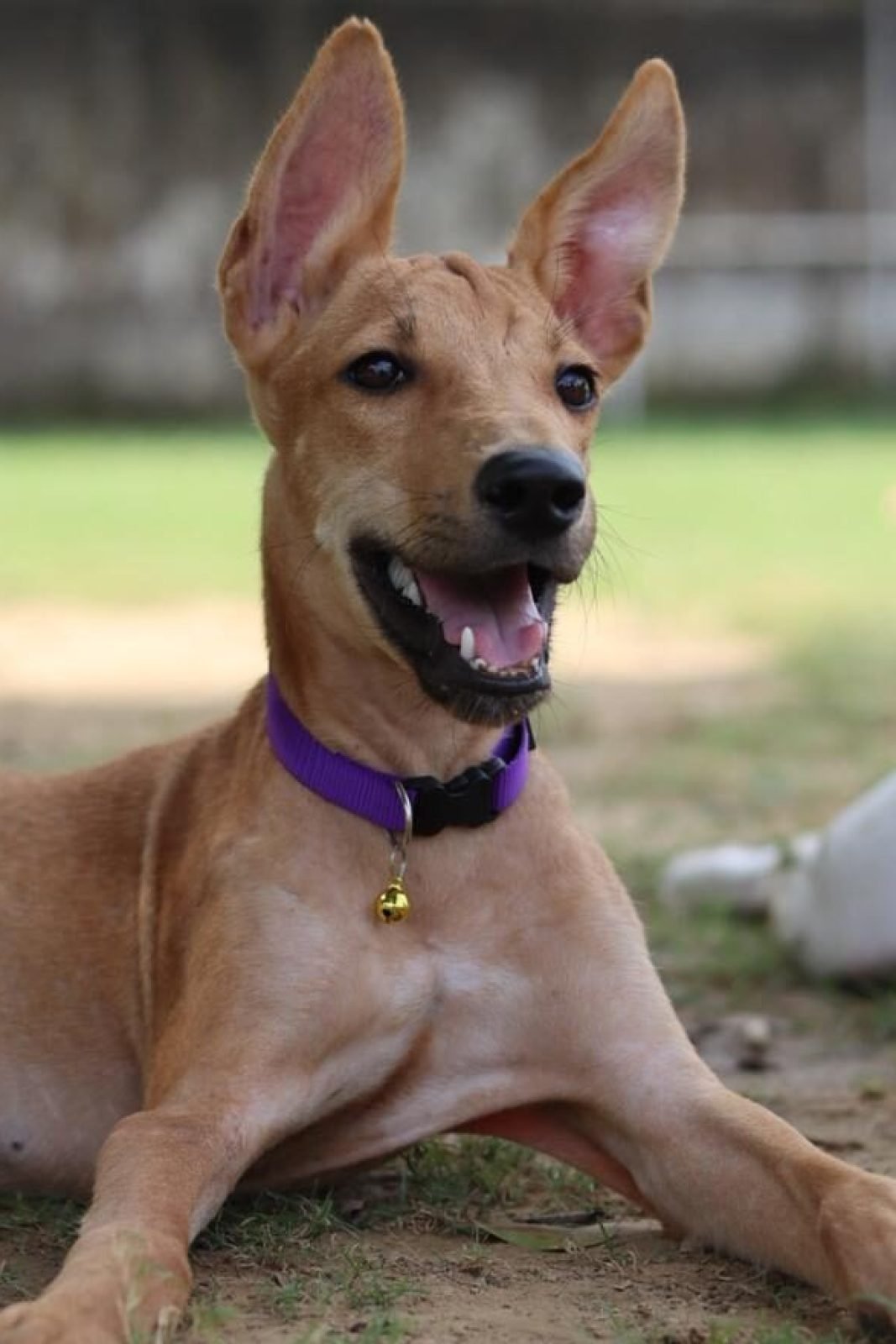 WhatsApp Image 2025-10-28 at 22.16.25_4d15d052