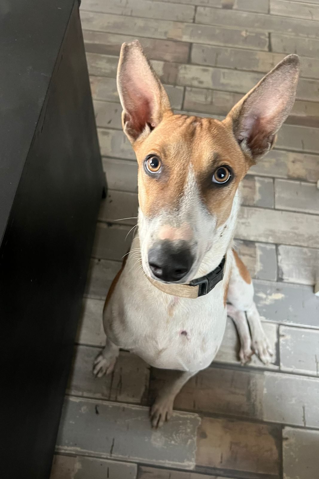 WhatsApp Image 2025-11-03 at 21.35.01_76f5cd05