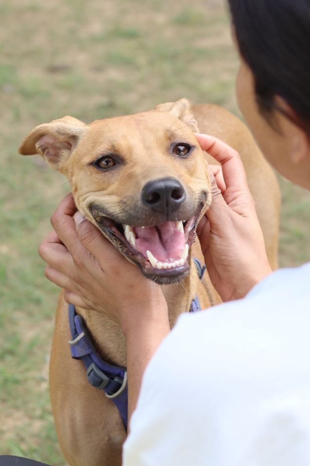 WhatsApp Image 2025-11-03 at 21.37.24_d7ae351c