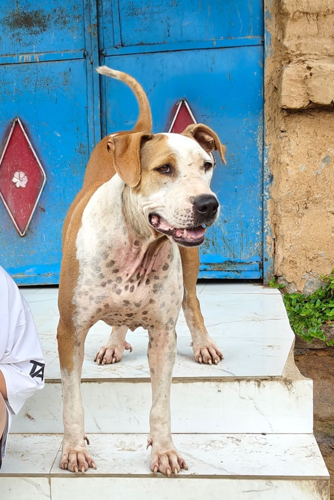 WhatsApp Image 2025-11-03 at 21.38.19_35f53c45