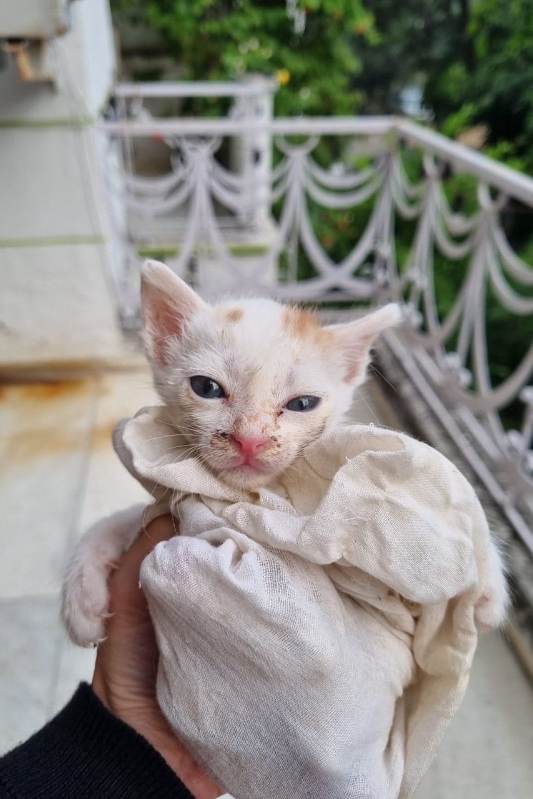 WhatsApp Image 2025-11-03 at 21.40.13_b5d7611e