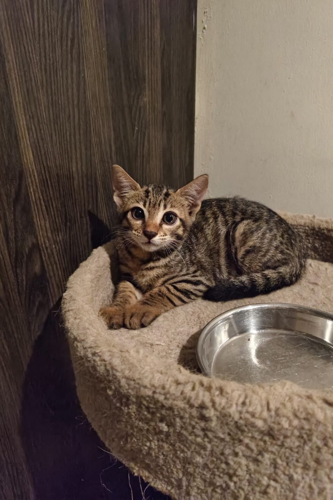 WhatsApp Image 2025-11-03 at 21.42.55_f7c3830c