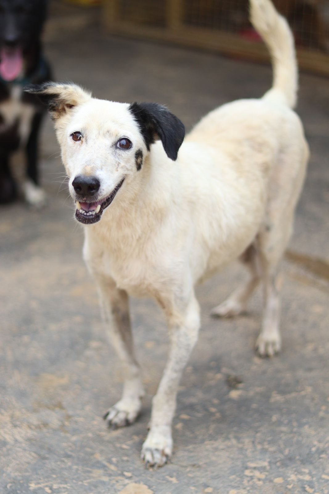 WhatsApp Image 2025-11-03 at 21.51.02_2ac8ae07